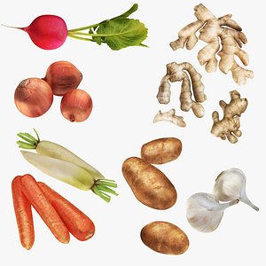 3D Root and Ground Vegetables