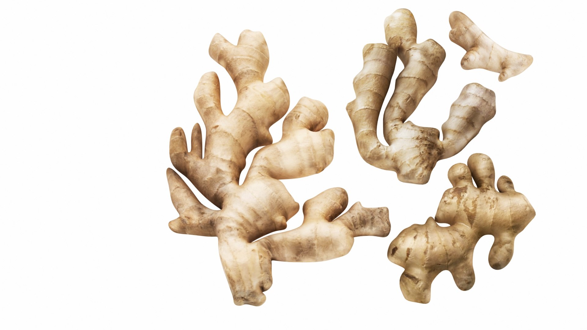 3D Root and Ground Vegetables https://p.turbosquid.com/ts-thumb/7n/UzbPow/vm/ginger2/jpg/1766172456/1920x1080/fit_q87/e5fe69b5e159dfd837936d4784d4aa34f8588255/ginger2.jpg