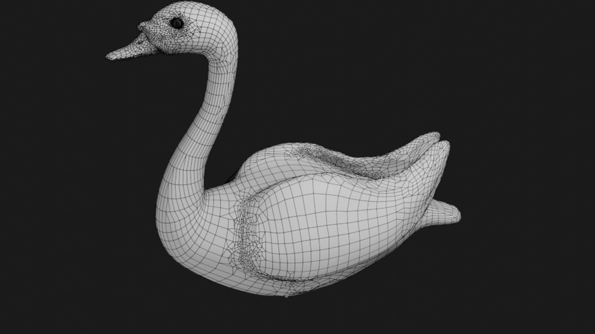 3D Swan - TurboSquid 1648859