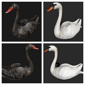 Swan Collection rigged low poly