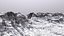 Landscape 78