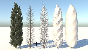 3D cypress tree
