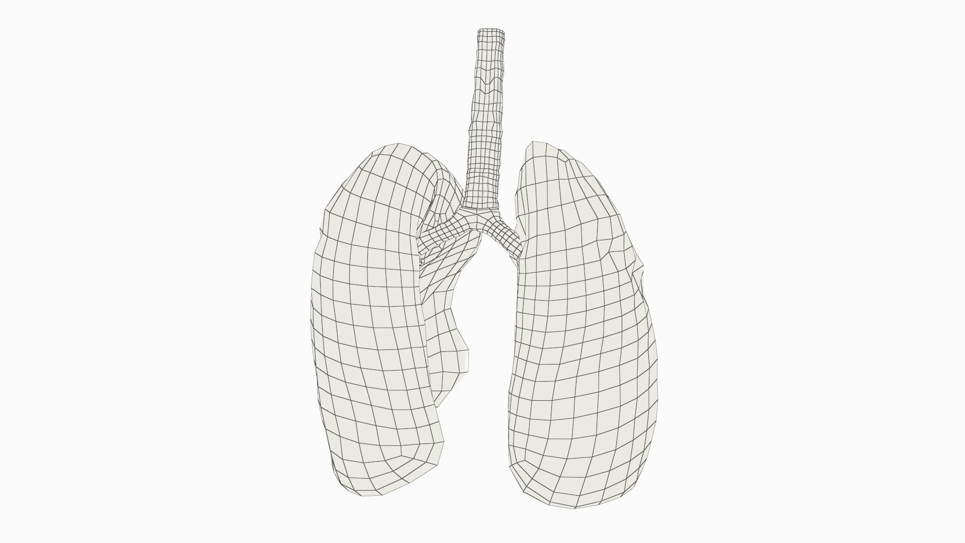 Transparent Lung Anatomy with Vascular Tree 3D https://p.turbosquid.com/ts-thumb/7o/FNQ5LU/Br/transparent_lung_anatomy_with_vascular_tree_009/jpg/1755653977/1920x1080/fit_q87/62dbfa71192ae562a8b0a1386c33f1cefd3241ba/transparent_lung_anatomy_with_vascular_tree_009.jpg