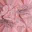 Transparent Lung Anatomy with Vascular Tree
