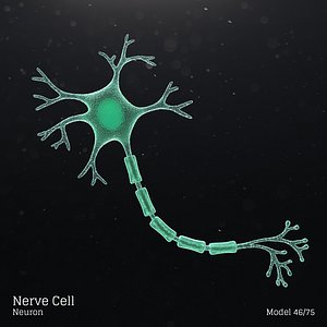 microbes bacteria cells 3D model