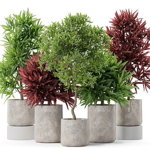 3D Plants collection 572 model