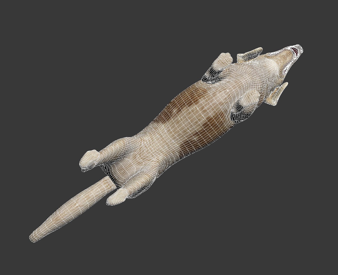 Golden retriever 3D model https://p.turbosquid.com/ts-thumb/7o/YXs0RQ/qB/img1_6/jpg/1649321175/1920x1080/fit_q87/c5892d641e619496ef2cacd89eec746901f0188e/img1_6.jpg