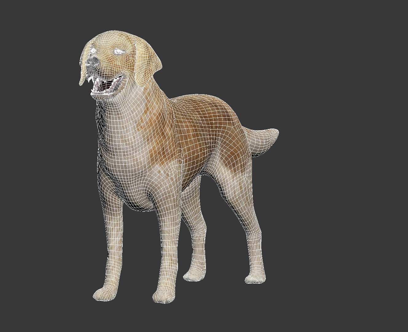 Golden retriever 3D model https://p.turbosquid.com/ts-thumb/7o/YXs0RQ/rZ/img1_1/jpg/1649321166/1920x1080/fit_q87/59b7b4d6cb5771a636edb0607ed995b6cdafdece/img1_1.jpg