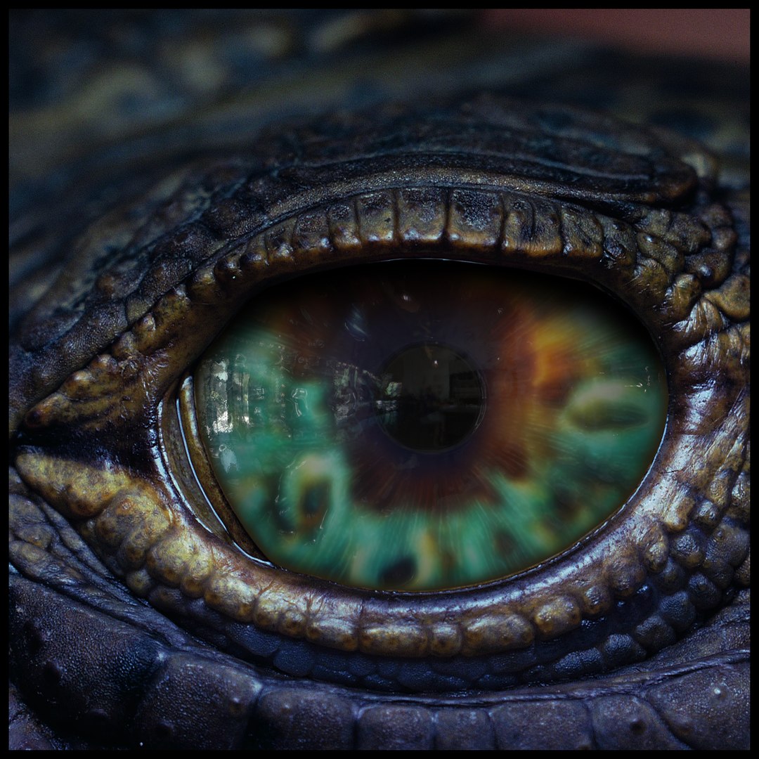 Creature Eyes Vol 10 - PBR 3D model https://p.turbosquid.com/ts-thumb/7o/ZhMKO5/0W/16/png/1696230038/1920x1080/fit_q87/f377b4a6071bc6db15c7b94e68c1d532bb9a2829/16.jpg