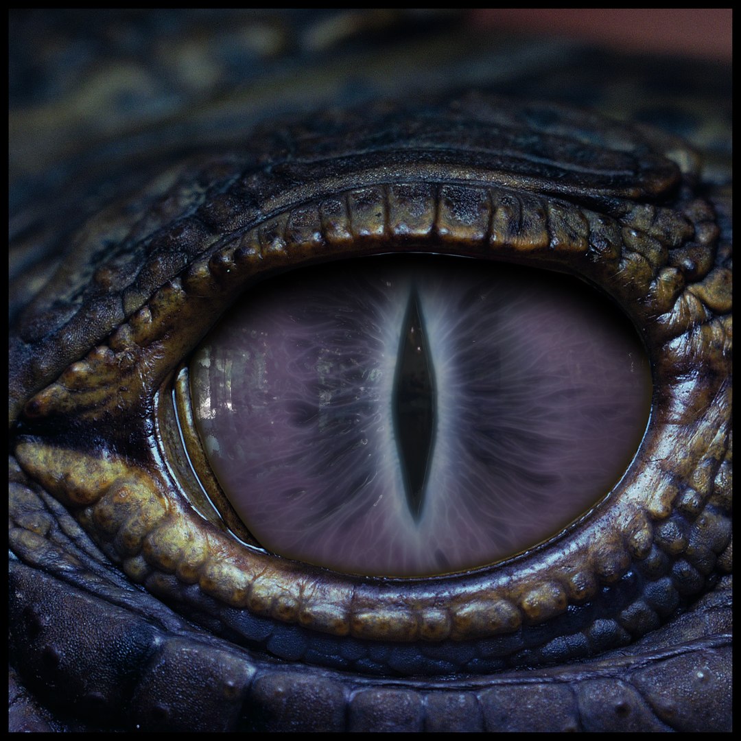 Creature Eyes Vol 10 - PBR 3D model https://p.turbosquid.com/ts-thumb/7o/ZhMKO5/3D/15/png/1696230036/1920x1080/fit_q87/705f1dec0493514612cbad0f304daccd9dbd4421/15.jpg