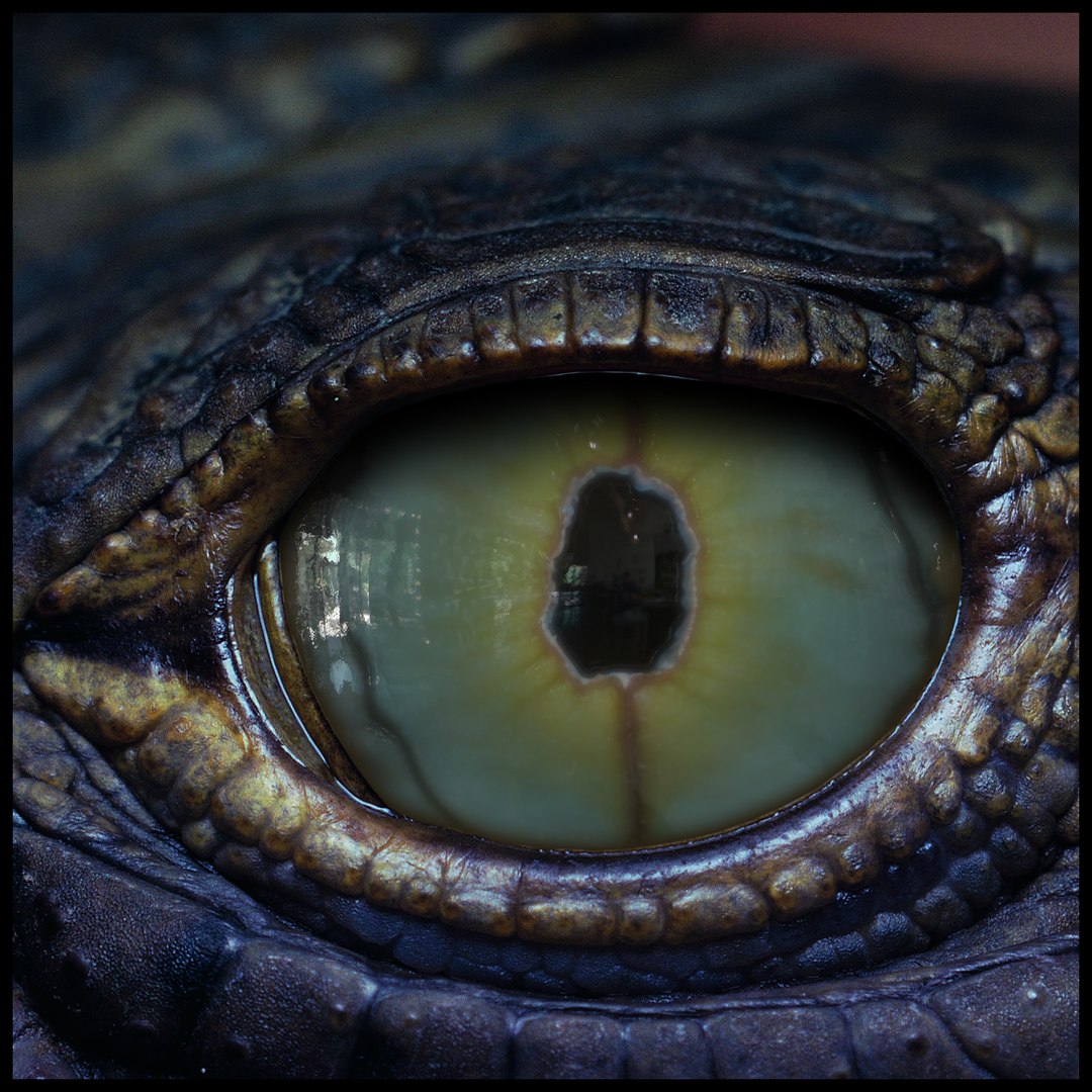 Creature Eyes Vol 10 - PBR 3D model https://p.turbosquid.com/ts-thumb/7o/ZhMKO5/8g/z03/png/1696230007/1920x1080/fit_q87/22fd70b45be52643580ae6901ad3d64ddbca201c/z03.jpg