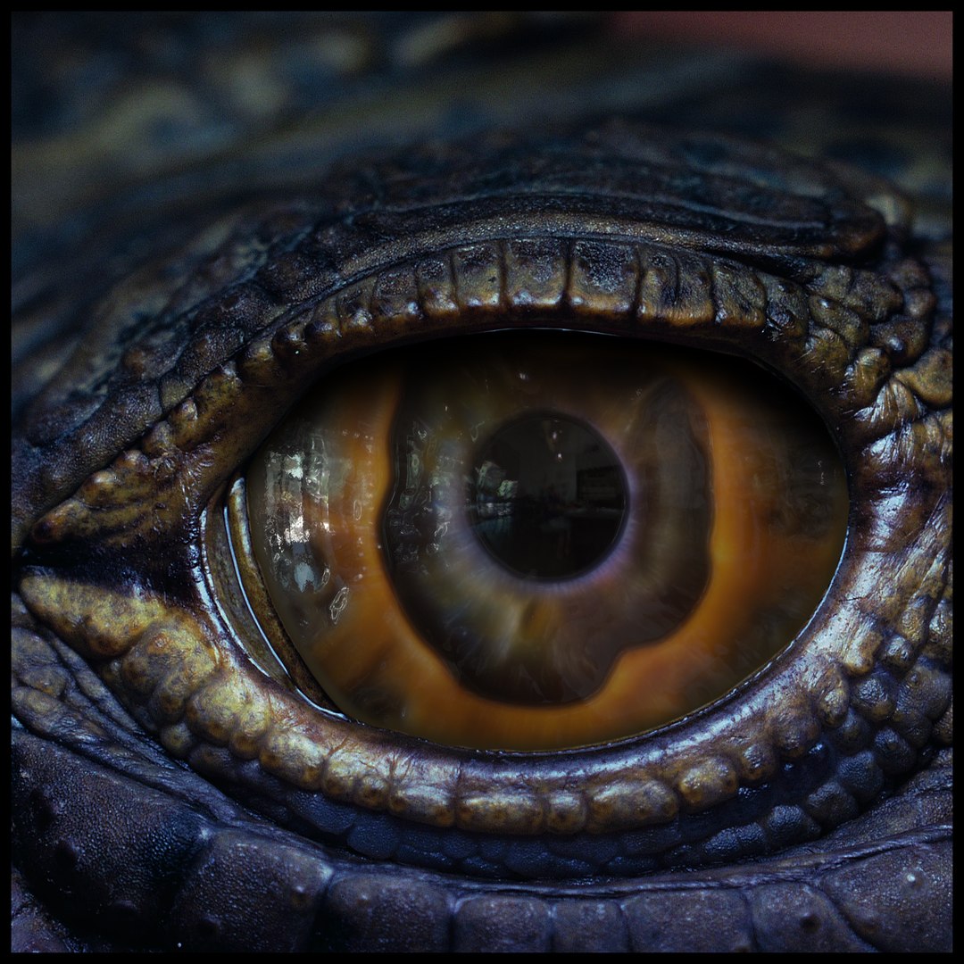 Creature Eyes Vol 10 - PBR 3D model https://p.turbosquid.com/ts-thumb/7o/ZhMKO5/A2/14/png/1696230033/1920x1080/fit_q87/fa6776d81baa9973fffa6639575c154dc57631b2/14.jpg