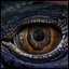 Creature Eyes Vol 10 - PBR