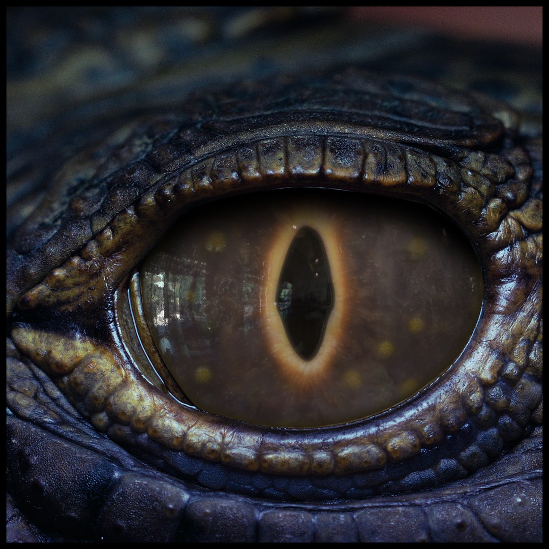 Creature Eyes Vol 10 - PBR 3D model https://p.turbosquid.com/ts-thumb/7o/ZhMKO5/G4/z09/png/1696230026/1920x1080/fit_q87/401c0274e65920bd4eec86ad9cde516cd81b8e45/z09.jpg
