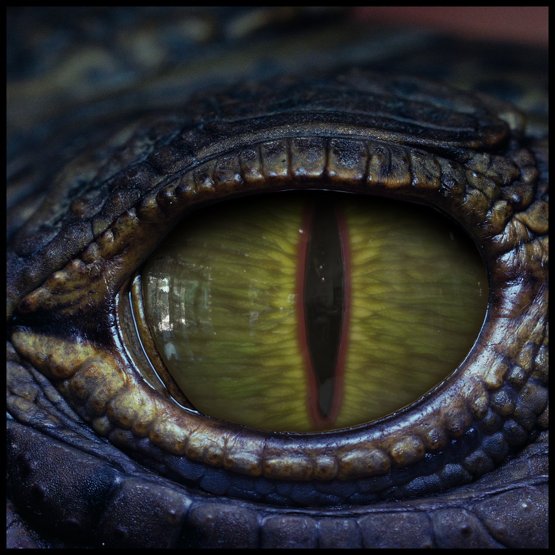 Creature Eyes Vol 10 - PBR 3D model https://p.turbosquid.com/ts-thumb/7o/ZhMKO5/GA/z07/png/1696230015/1920x1080/fit_q87/958e523472f9866c8991a73ad535444d347c0dfd/z07.jpg