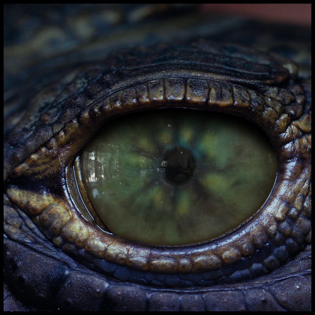 Creature Eyes Vol 10 - PBR 3D model https://p.turbosquid.com/ts-thumb/7o/ZhMKO5/Tz/z04/png/1696230011/1920x1080/fit_q87/c8aaa032183b6f712acc3b7e79f0bac490a1300e/z04.jpg