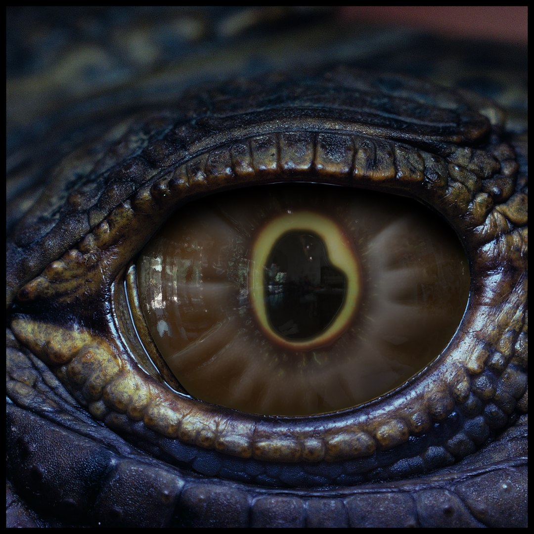 Creature Eyes Vol 10 - PBR 3D model https://p.turbosquid.com/ts-thumb/7o/ZhMKO5/V8/z02/png/1696230009/1920x1080/fit_q87/831a6999e5fde1c02eef0a2380bdf3ba276caac5/z02.jpg