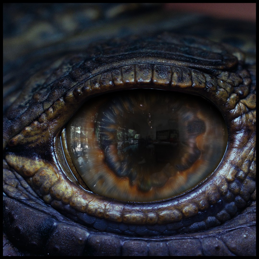 Creature Eyes Vol 10 - PBR 3D model https://p.turbosquid.com/ts-thumb/7o/ZhMKO5/aw/z06/png/1696230019/1920x1080/fit_q87/78a5247cc673e075a33993c90aefdbe6e49183af/z06.jpg
