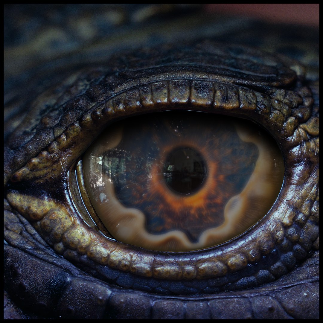 Creature Eyes Vol 10 - PBR 3D model https://p.turbosquid.com/ts-thumb/7o/ZhMKO5/g1/z08/png/1696230021/1920x1080/fit_q87/1571f19ad7941fe5b0afe83377f8153a98b78d02/z08.jpg