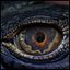 Creature Eyes Vol 10 - PBR