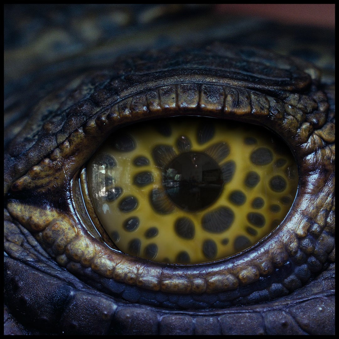 Creature Eyes Vol 10 - PBR 3D model https://p.turbosquid.com/ts-thumb/7o/ZhMKO5/im/10/png/1696230027/1920x1080/fit_q87/c5b0e8d345cee2f71d562925c298659910b7aa83/10.jpg