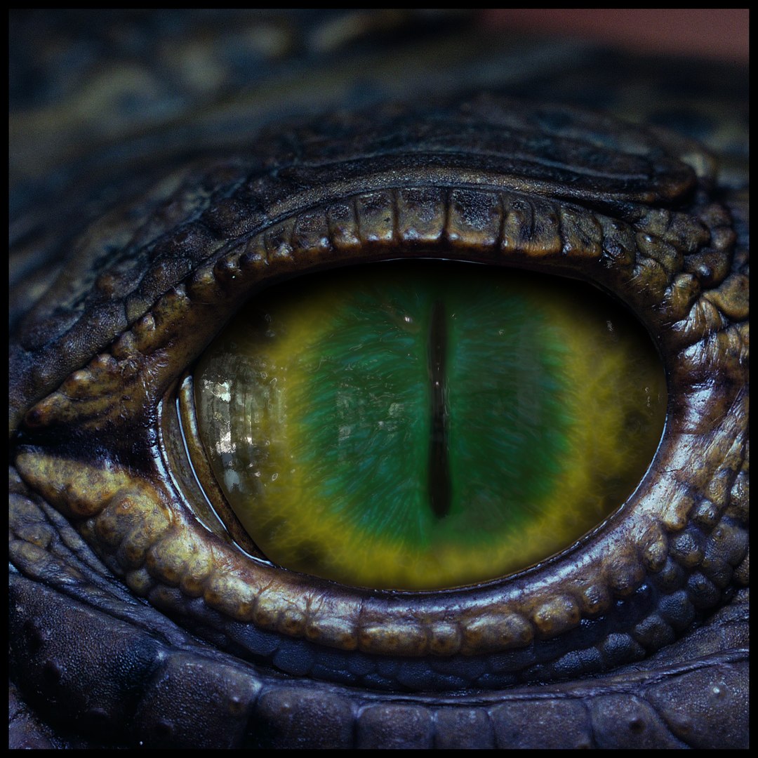 Creature Eyes Vol 10 - PBR 3D model https://p.turbosquid.com/ts-thumb/7o/ZhMKO5/jB/13/png/1696230039/1920x1080/fit_q87/d9fbec3b733da056f8707701d2262a2503917e56/13.jpg