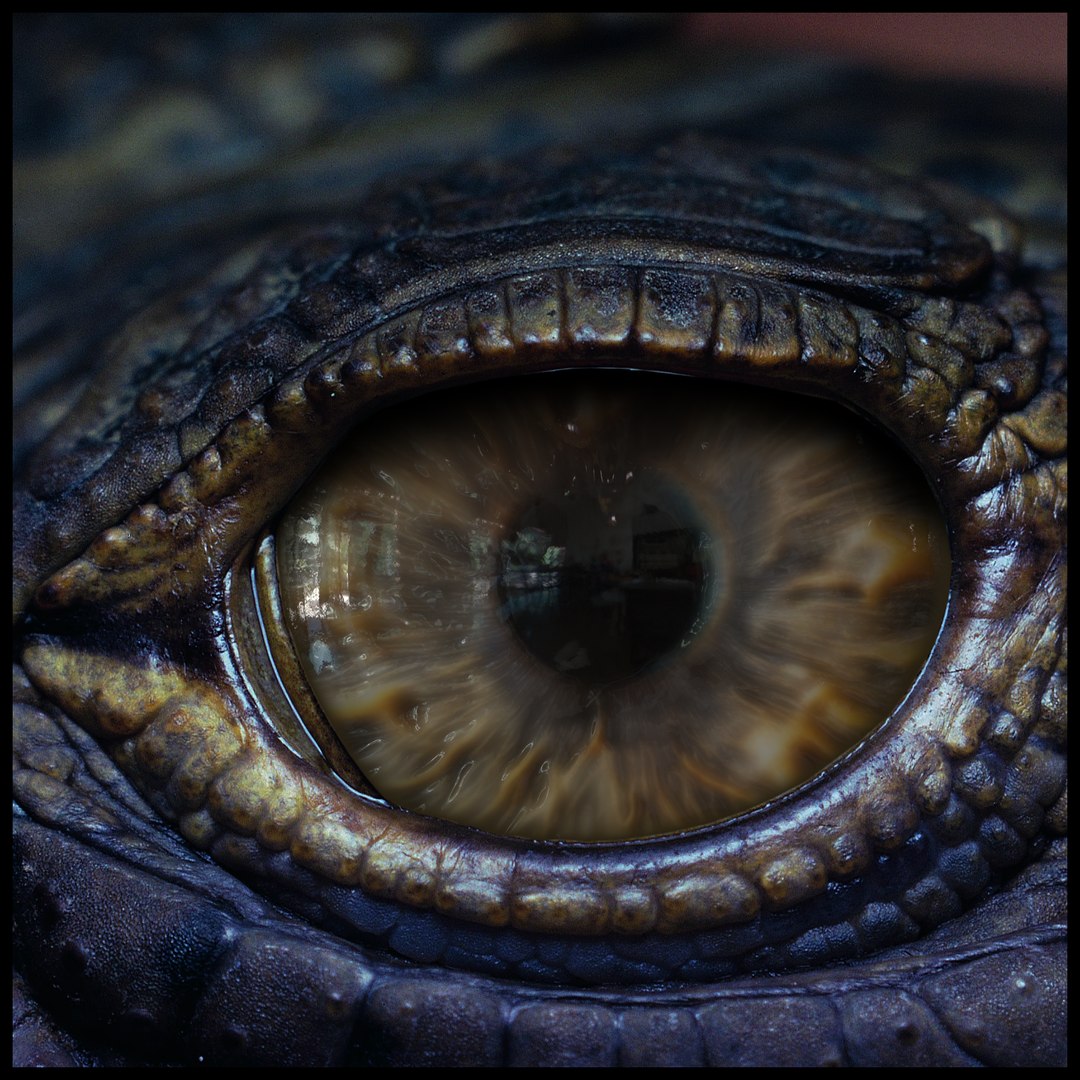 Creature Eyes Vol 10 - PBR 3D model https://p.turbosquid.com/ts-thumb/7o/ZhMKO5/rS/12/png/1696230031/1920x1080/fit_q87/c8c67cd190afb24288d6eaddf6c4f4341e8df81d/12.jpg