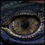 Creature Eyes Vol 10 - PBR