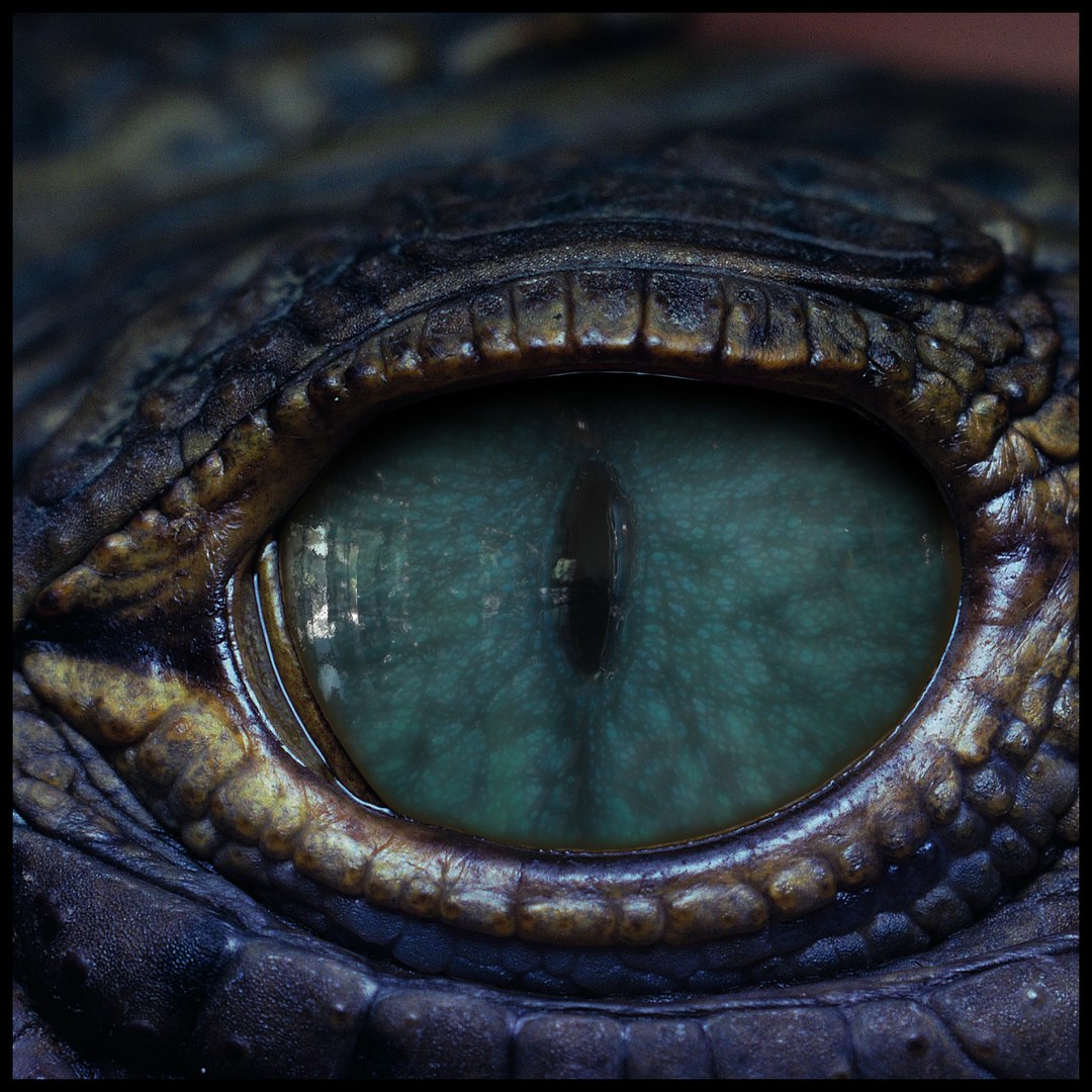 Creature Eyes Vol 10 - PBR 3D model https://p.turbosquid.com/ts-thumb/7o/ZhMKO5/vc/11/png/1696230027/1920x1080/fit_q87/55ce31bc988a694e2fbe8930acca454c6c54798a/11.jpg