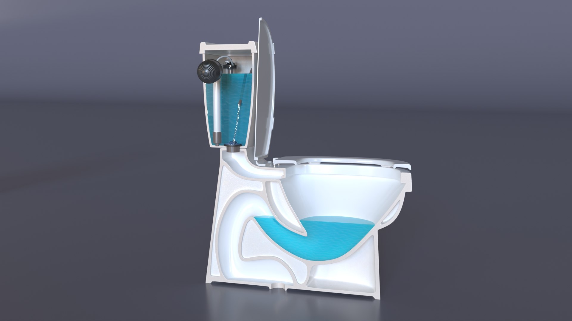 3D Toilet Cross Section Model - TurboSquid 2328256