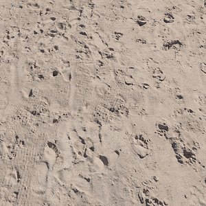 3D ultra realistic beach sand model