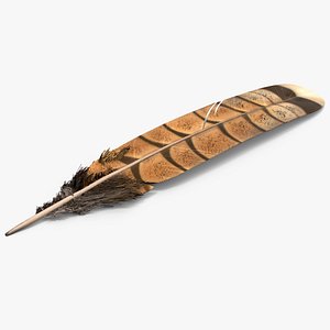Ruffed Grouse Feather 3D model