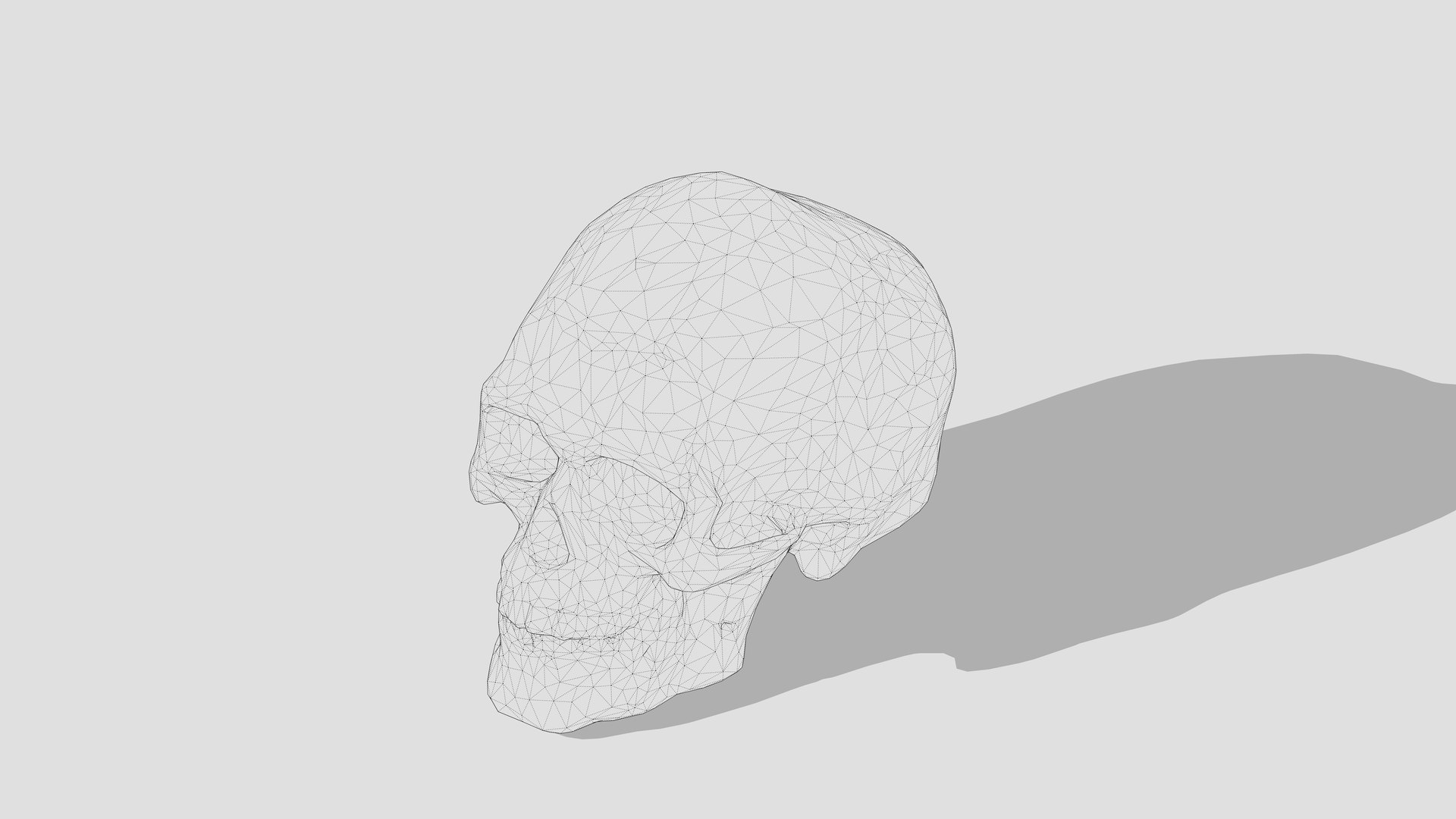 3D Skull Model - TurboSquid 2391116