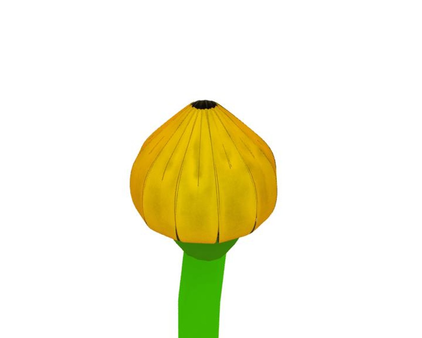 3d Model Of Flower Opening Animation