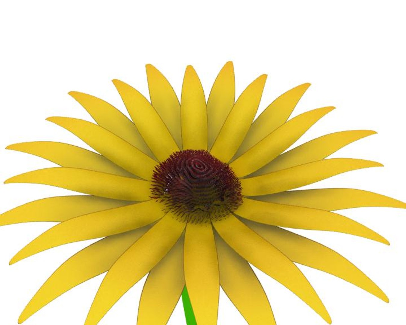 3d Model Of Flower Opening Animation