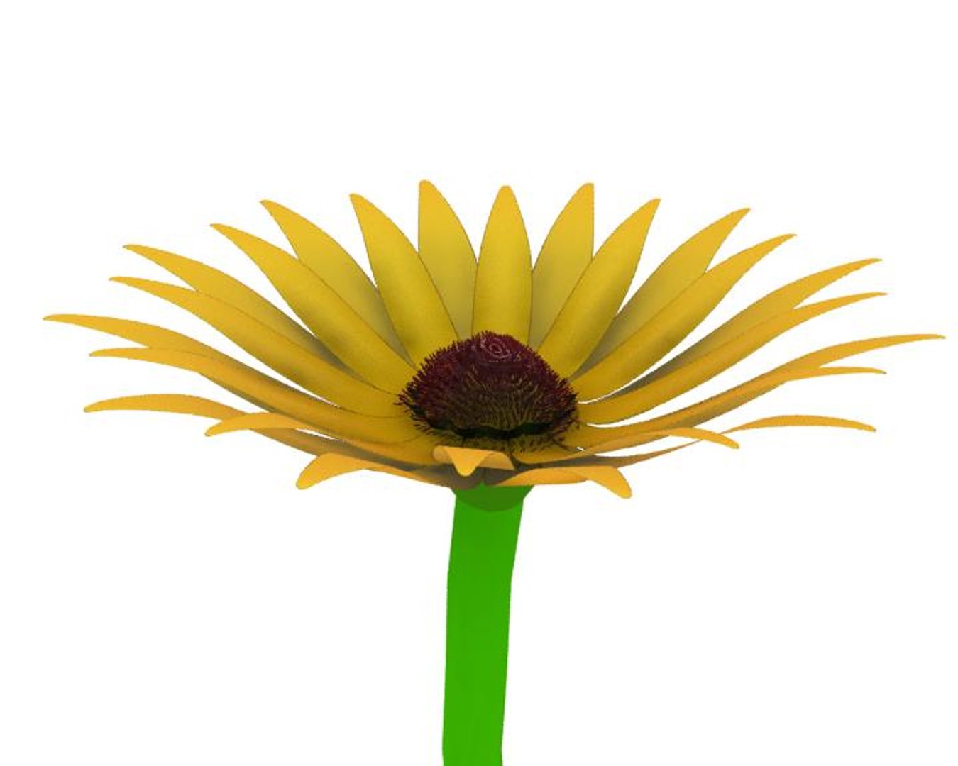 3d Model Of Flower Opening Animation