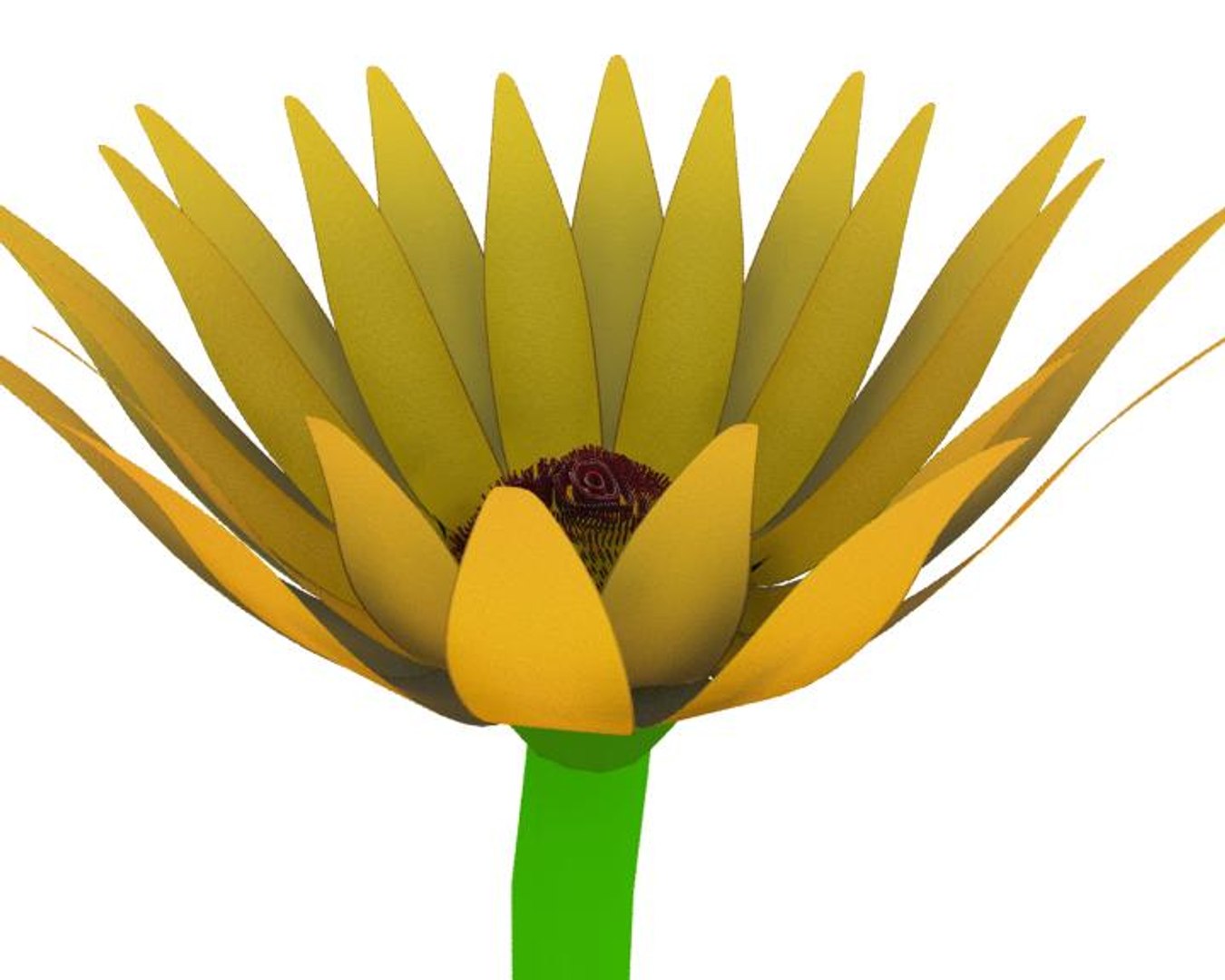 3d Model Of Flower Opening Animation