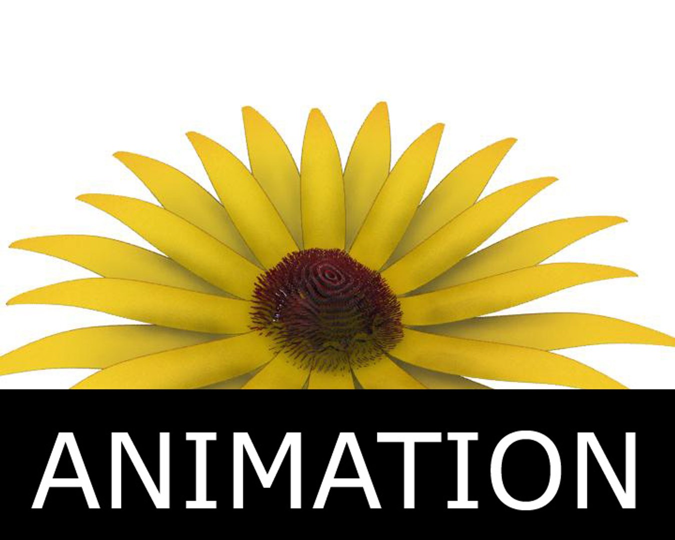 3d model of flower opening animation