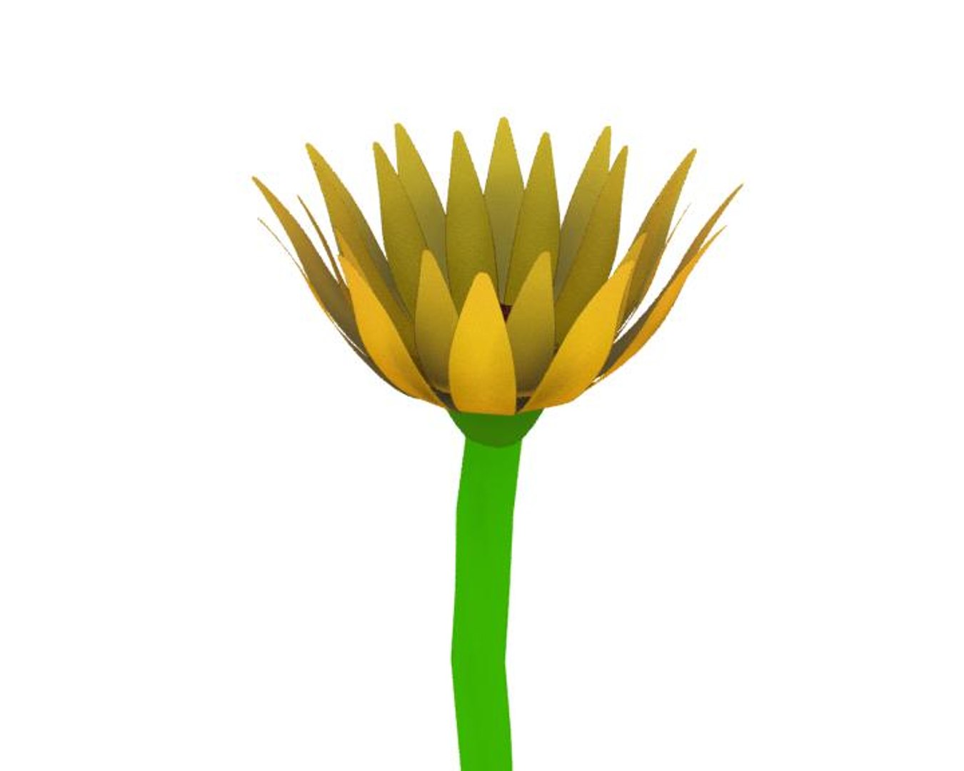 3d Model Of Flower Opening Animation