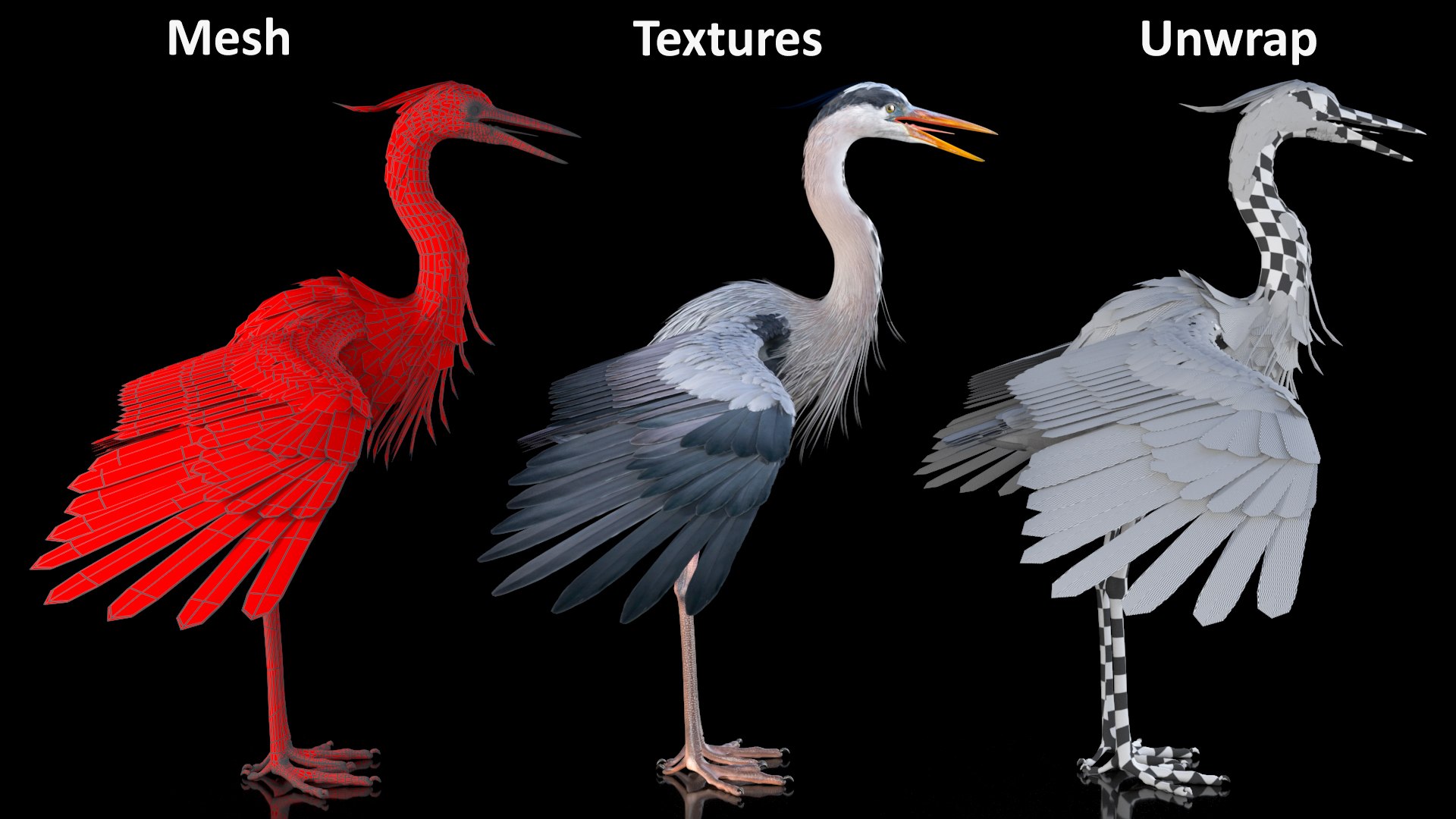 3D Grey Heron Rigged https://p.turbosquid.com/ts-thumb/7p/5s9UGa/6r/greyheronrigged3dmodel025/jpg/1664543158/1920x1080/fit_q87/1b8b1c55d345b8e97b7fd1677a5af495da64b75a/greyheronrigged3dmodel025.jpg