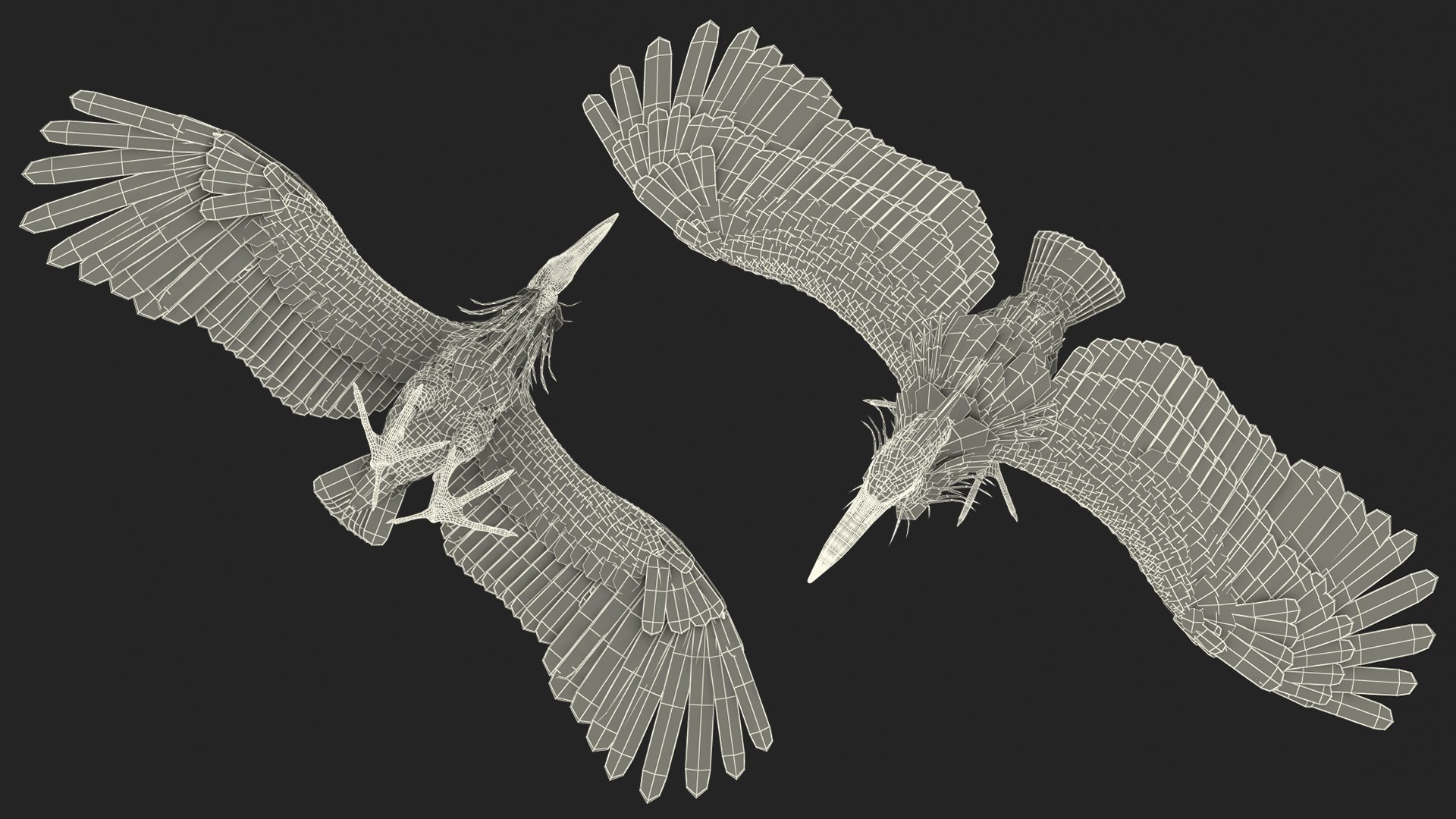 3D Grey Heron Rigged https://p.turbosquid.com/ts-thumb/7p/5s9UGa/HS/greyheronrigged3dmodel034/jpg/1664543195/1920x1080/fit_q87/e4b339c35f9269be4c99319ade1545472abf3f24/greyheronrigged3dmodel034.jpg