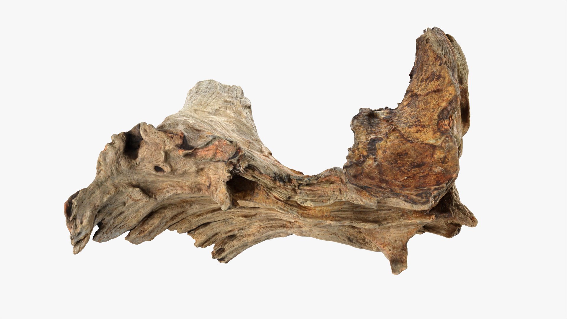 3D Tree Trunk Piece Collection model https://p.turbosquid.com/ts-thumb/7p/A9Hy0Y/Fc/treetrunkpc05_0001/png/1765962817/1920x1080/fit_q87/06f1d3a9215008fb4e36bdd73ffe1ffe8bc7cf25/treetrunkpc05_0001.jpg