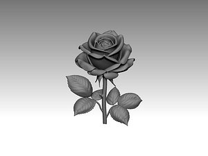3D Flower rose
