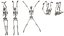 Skeleton Hanging Poses - Low-poly 3D model