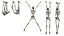 Skeleton Hanging Poses - Low-poly 3D model
