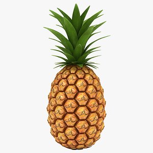 Pineapple