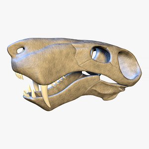 3D Gorgonops Skull
