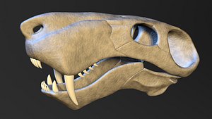 3D Gorgonops Skull