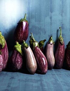 eggplants 3D model
