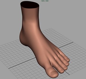 male foot texturing 3d model